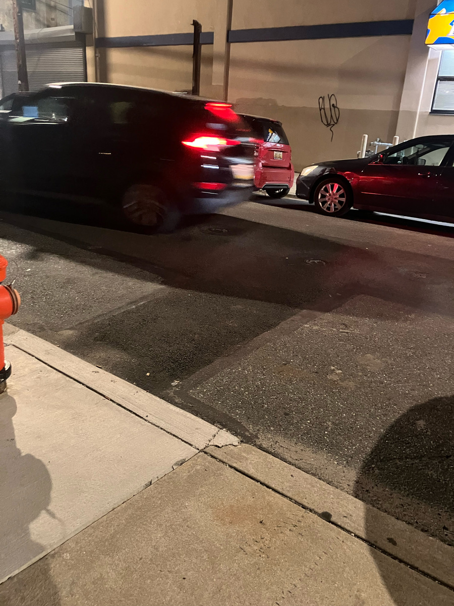 Photographic documentation of the work as submitted to the city's 311 record.