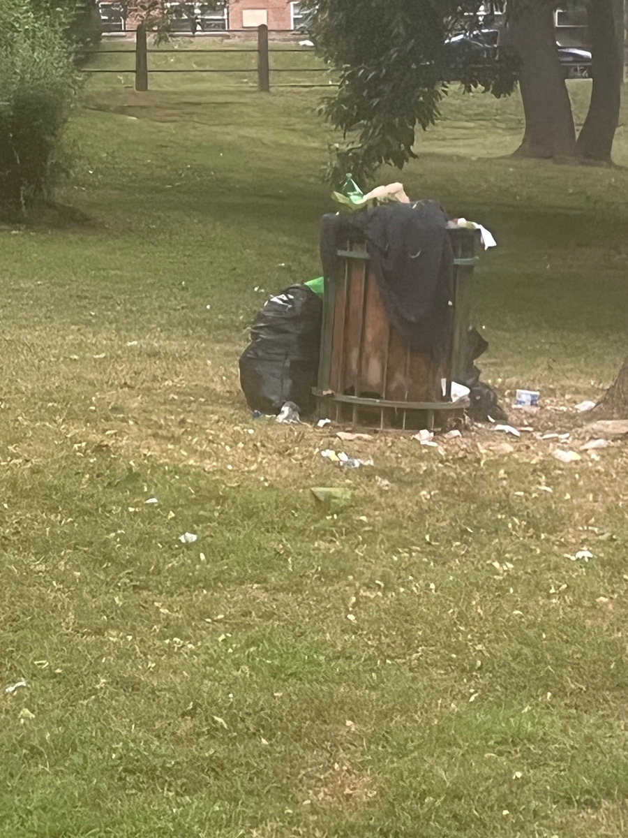 Photographic documentation of the work as submitted to the city's 311 record.