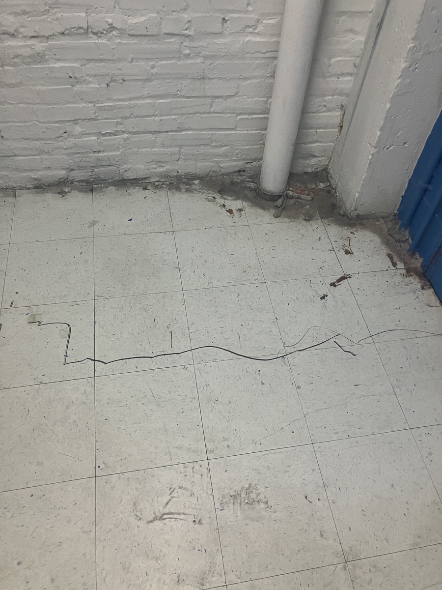 Photographic documentation of the work as submitted to the city's 311 record.