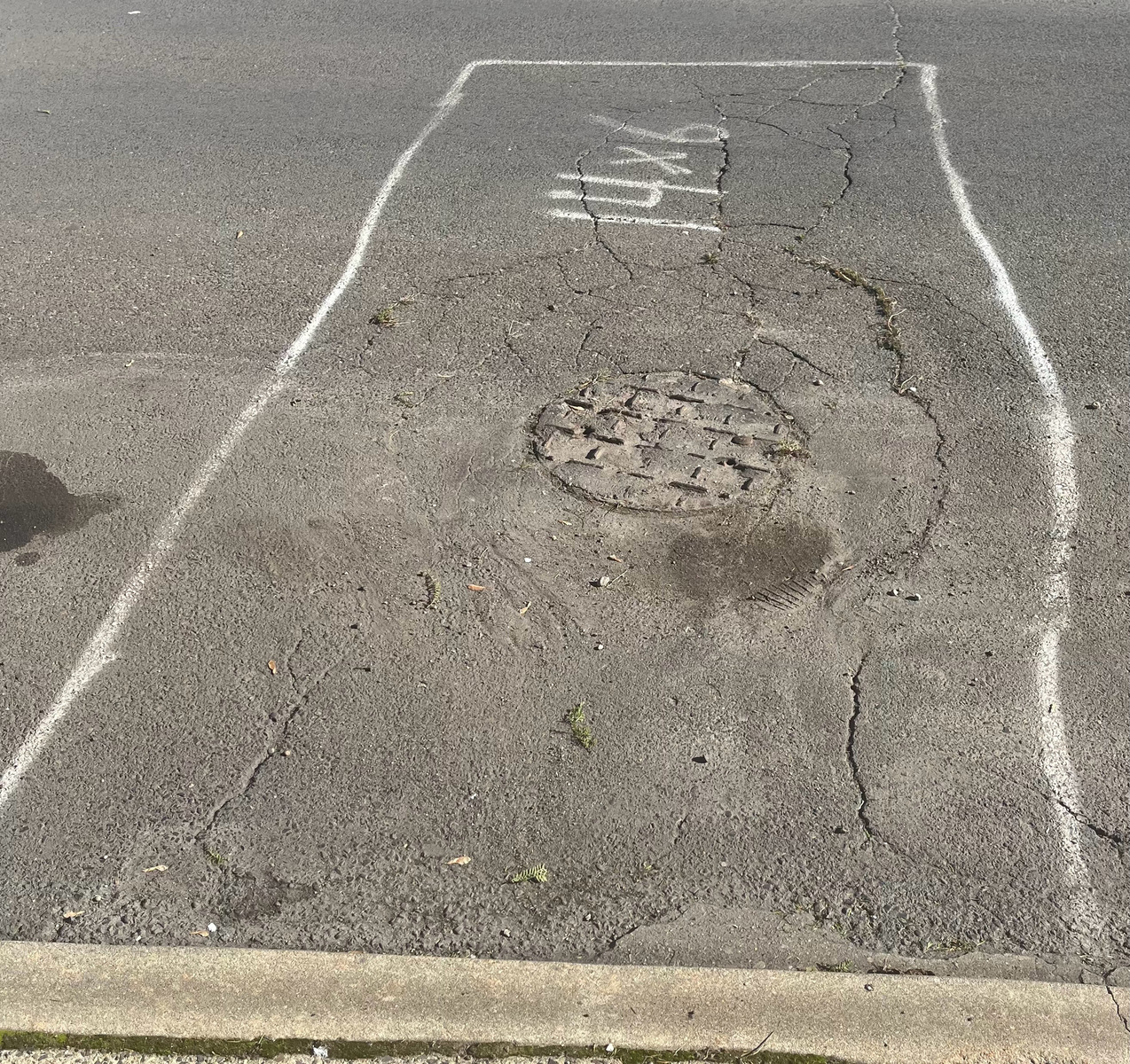 Photographic documentation of the work as submitted to the city's 311 record.