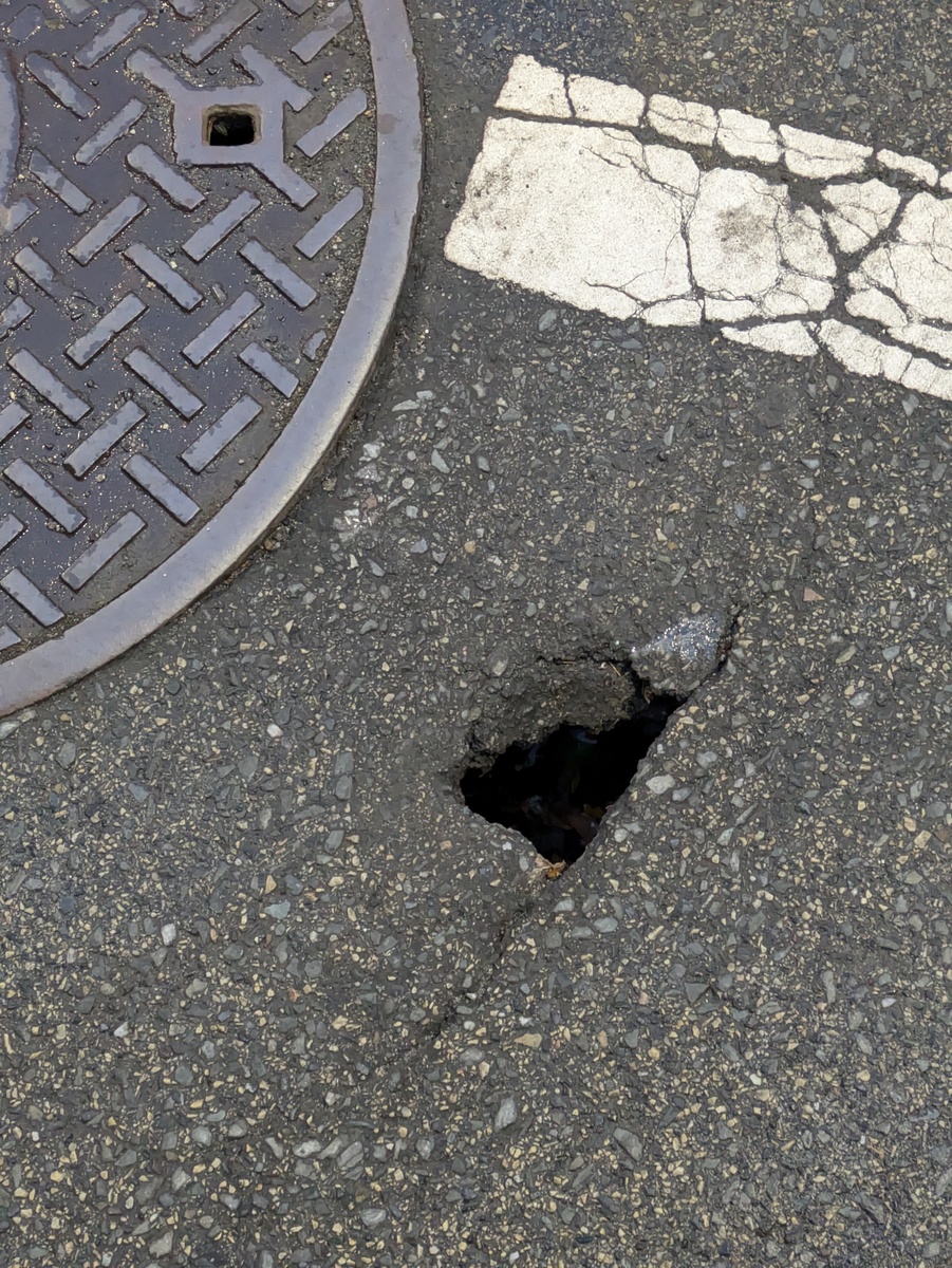 Photographic documentation of the work as submitted to the city's 311 record.