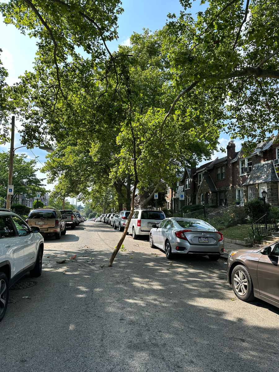Photographic documentation of the work as submitted to the city's 311 record.