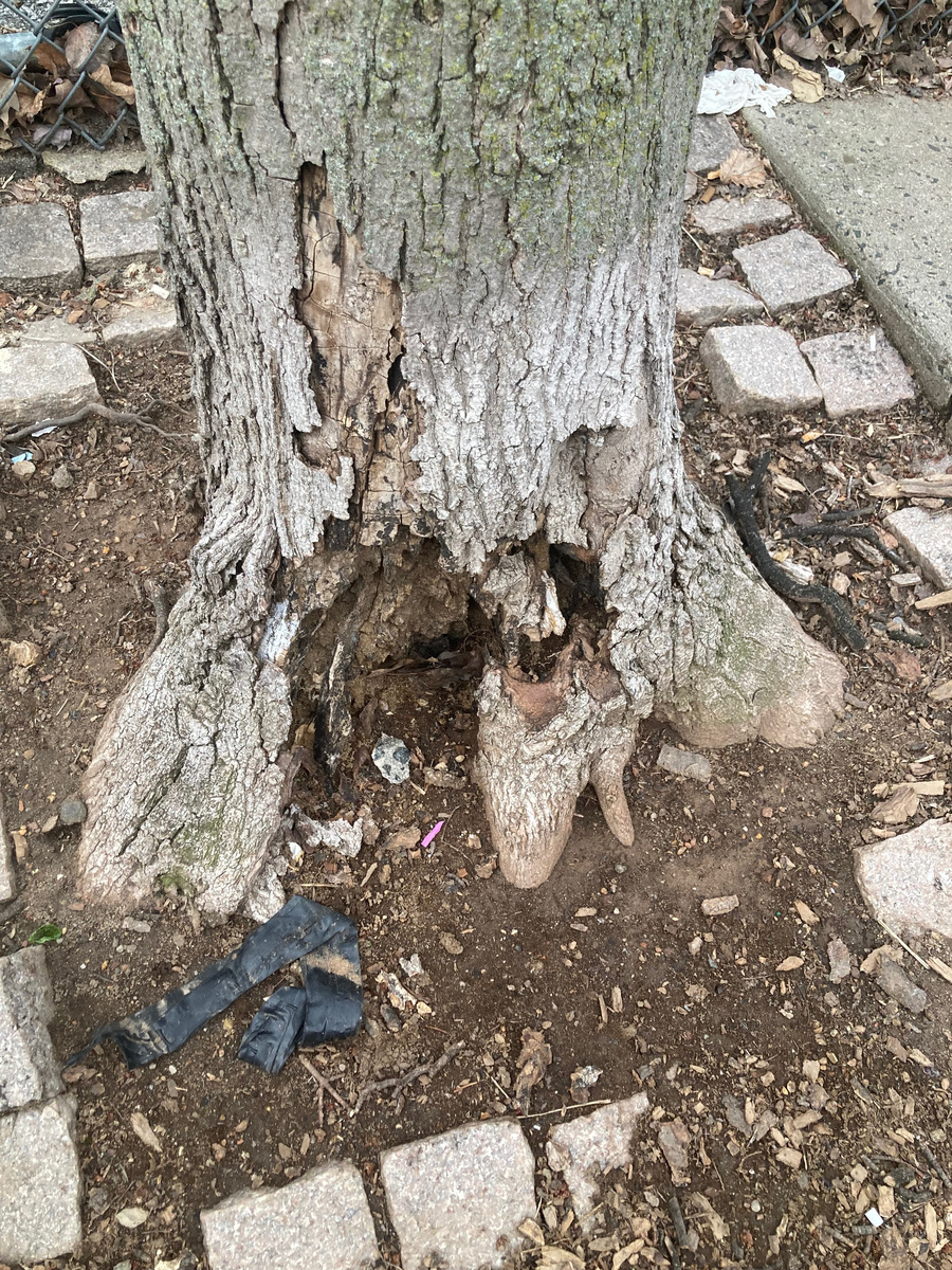 Photographic documentation of the work as submitted to the city's 311 record.