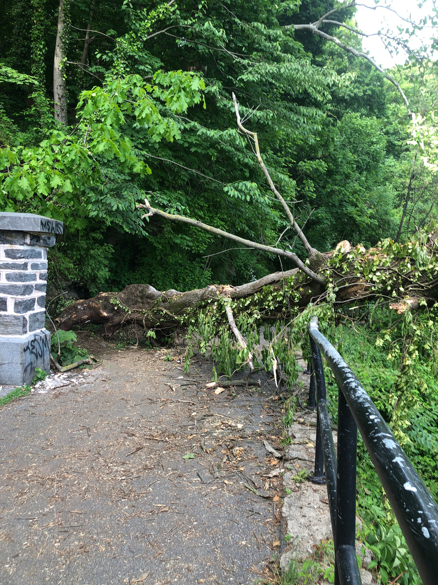 Photographic documentation of the work as submitted to the city's 311 record.