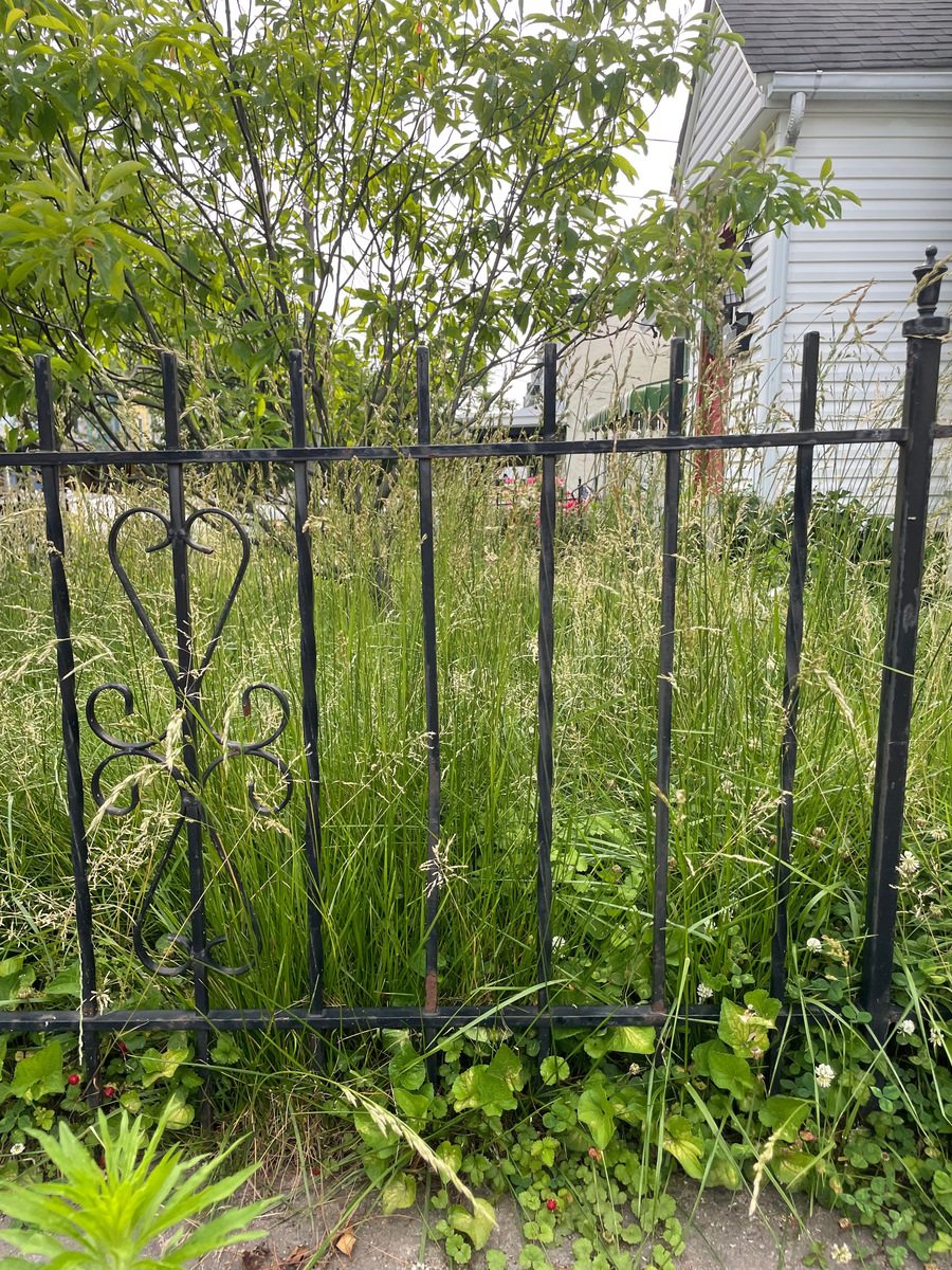 Photographic documentation of the work as submitted to the city's 311 record.