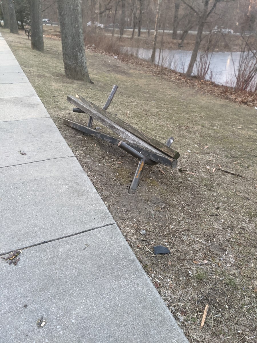 Photographic documentation of the work as submitted to the city's 311 record.
