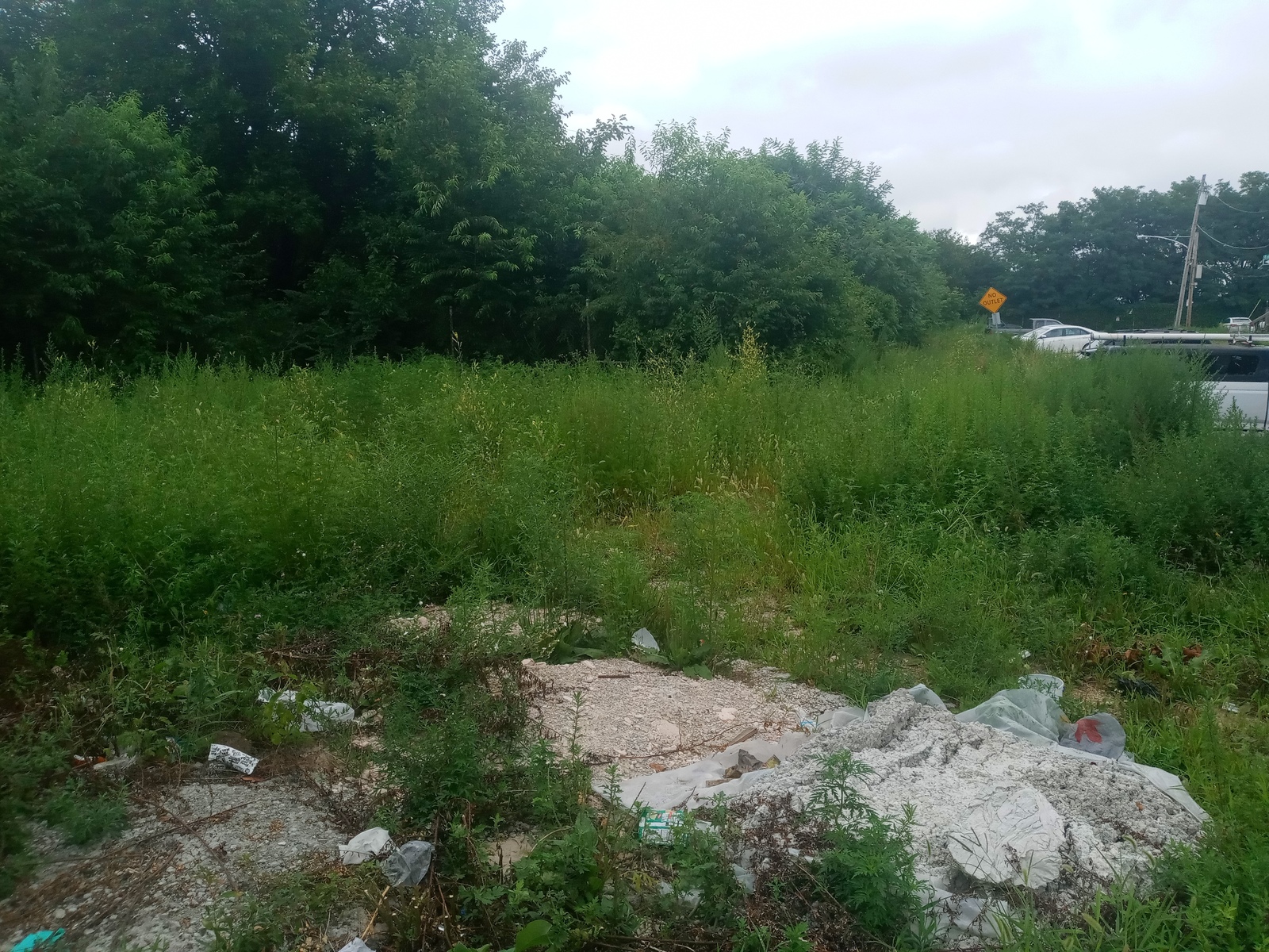Photographic documentation of the work as submitted to the city's 311 record.