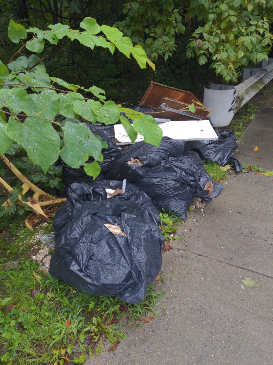 Photographic documentation of the work as submitted to the city's 311 record.