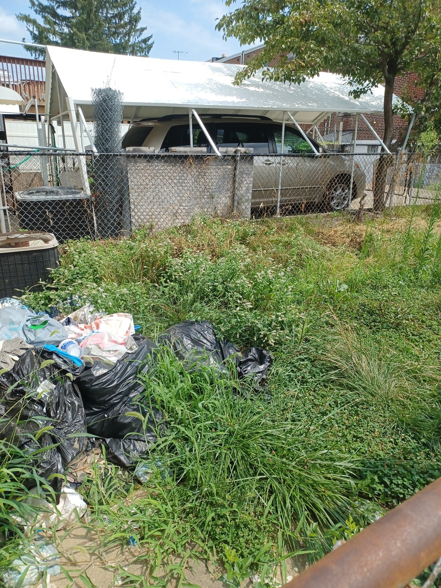 Photographic documentation of the work as submitted to the city's 311 record.