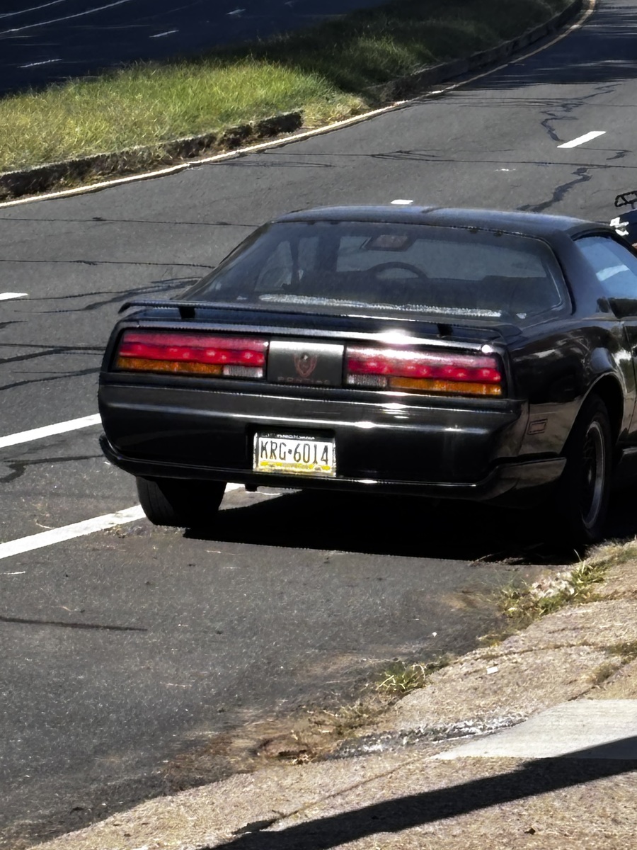 Photographic documentation of the work as submitted to the city's 311 record.
