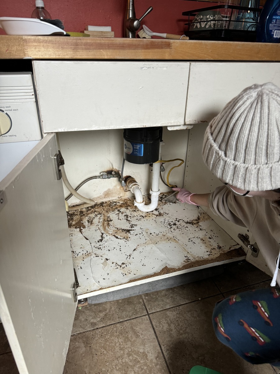 Photographic documentation of the work as submitted to the city's 311 record.