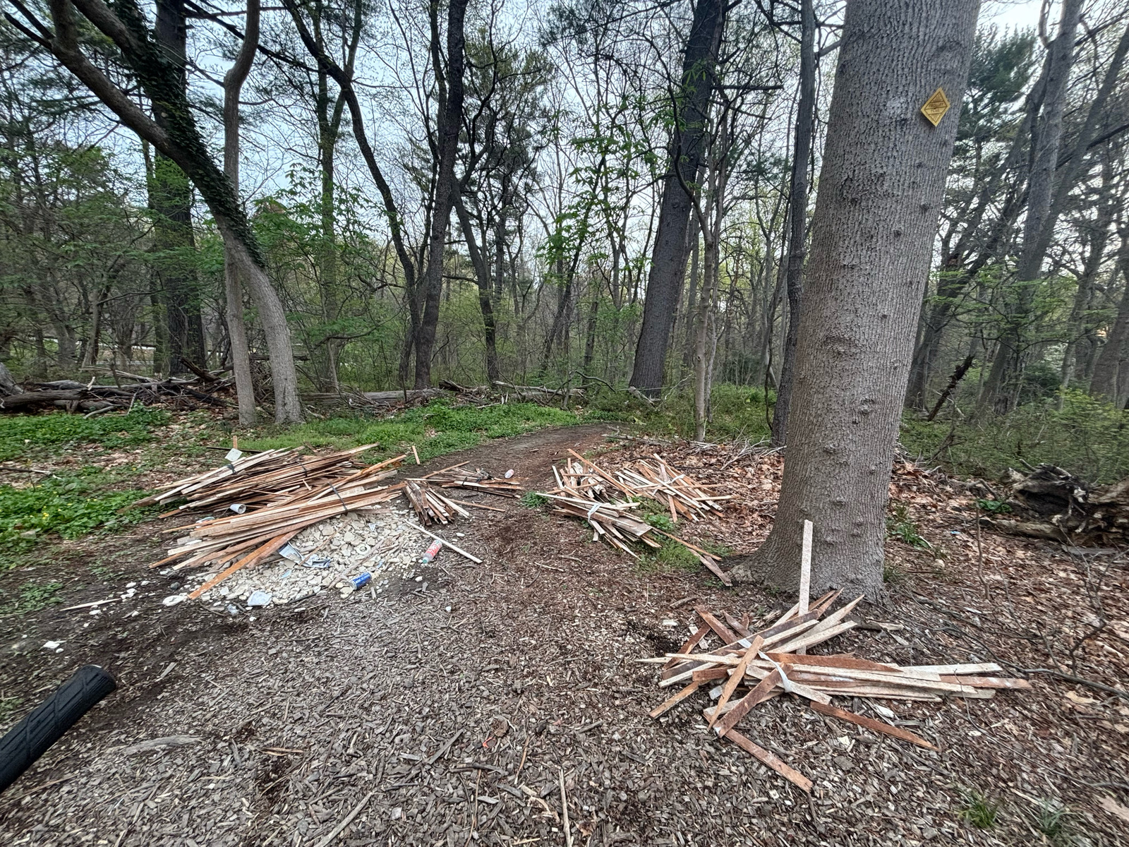 Photographic documentation of the work as submitted to the city's 311 record.