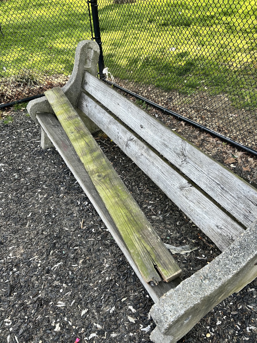 Photographic documentation of the work as submitted to the city's 311 record.