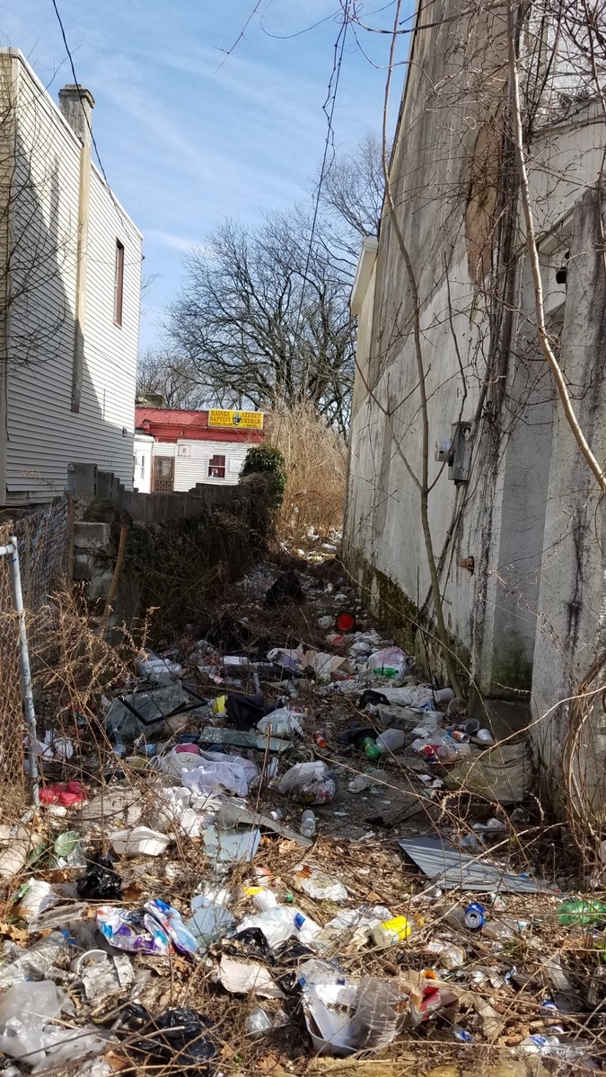 Photographic documentation of the work as submitted to the city's 311 record.