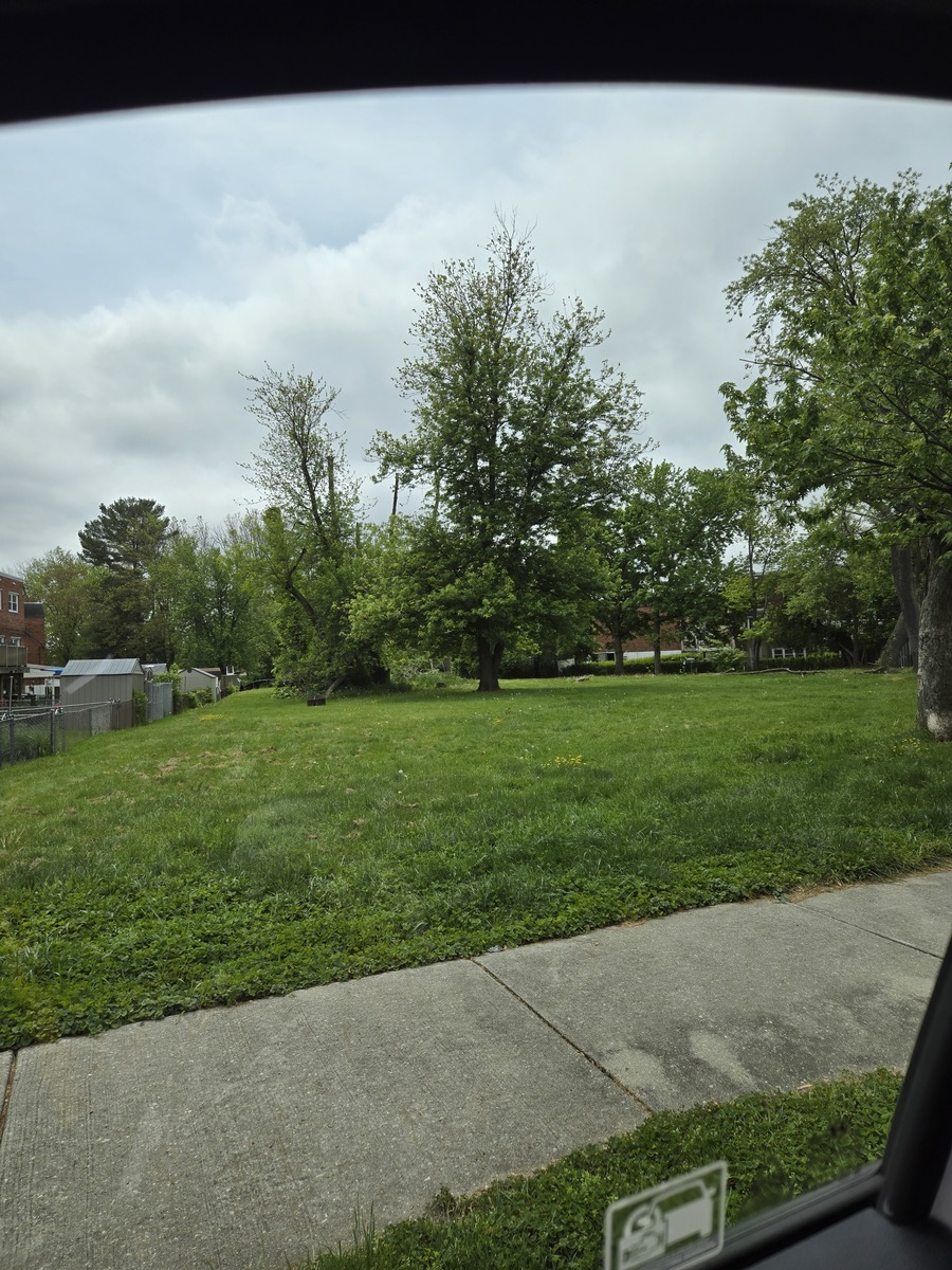 Photographic documentation of the work as submitted to the city's 311 record.