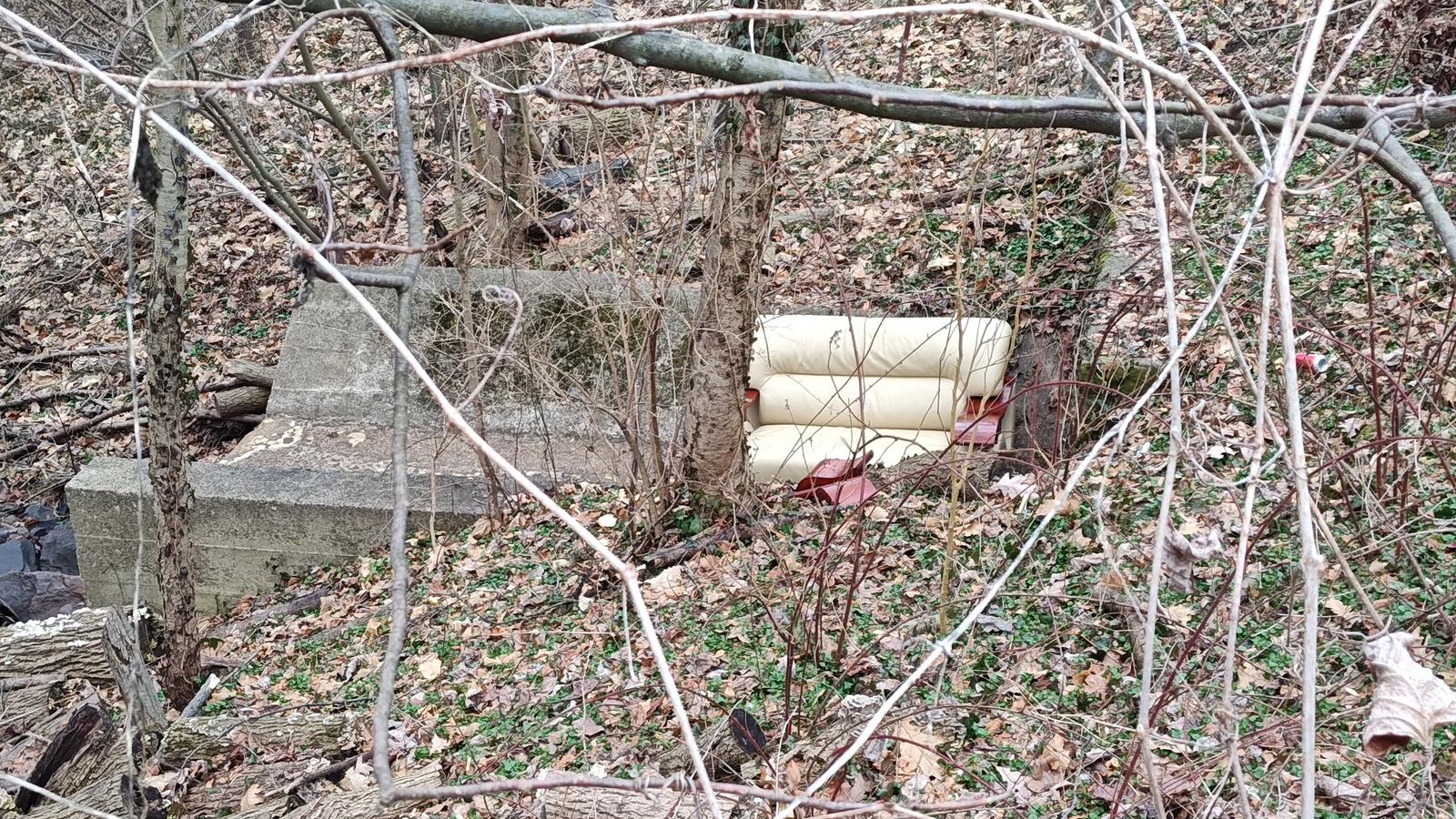 Photographic documentation of the work as submitted to the city's 311 record.