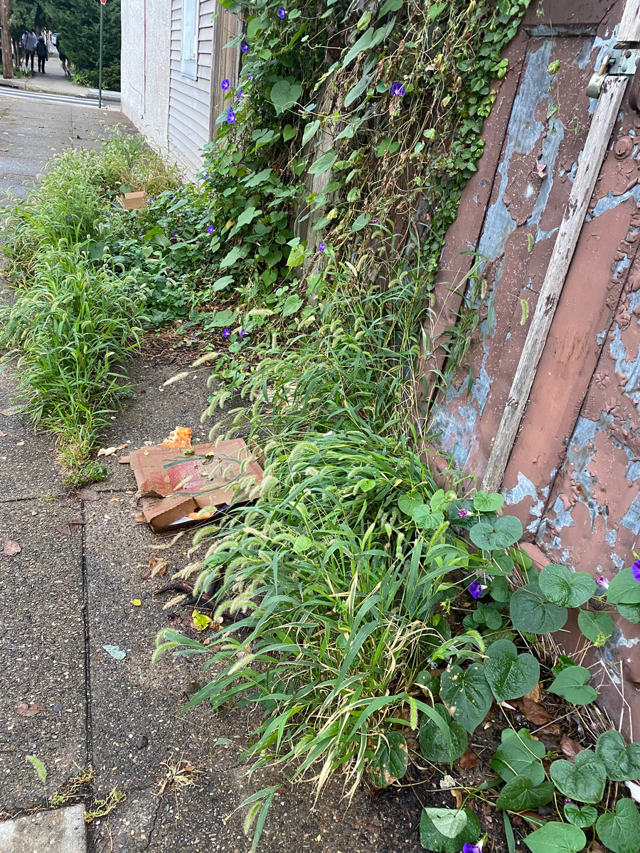 Photographic documentation of the work as submitted to the city's 311 record.