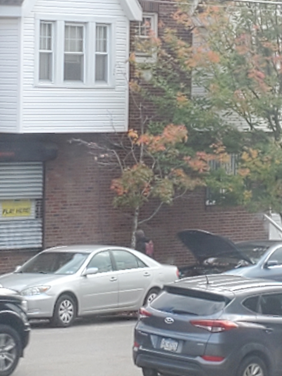Photographic documentation of the work as submitted to the city's 311 record.