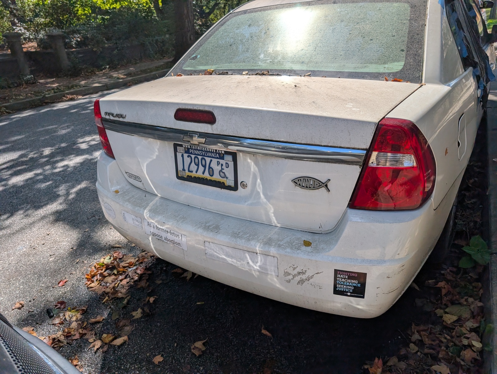 Photographic documentation of the work as submitted to the city's 311 record.