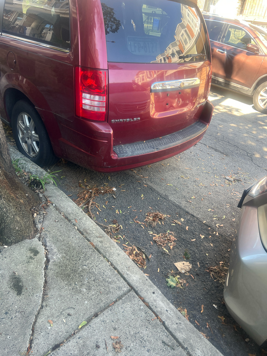 Photographic documentation of the work as submitted to the city's 311 record.