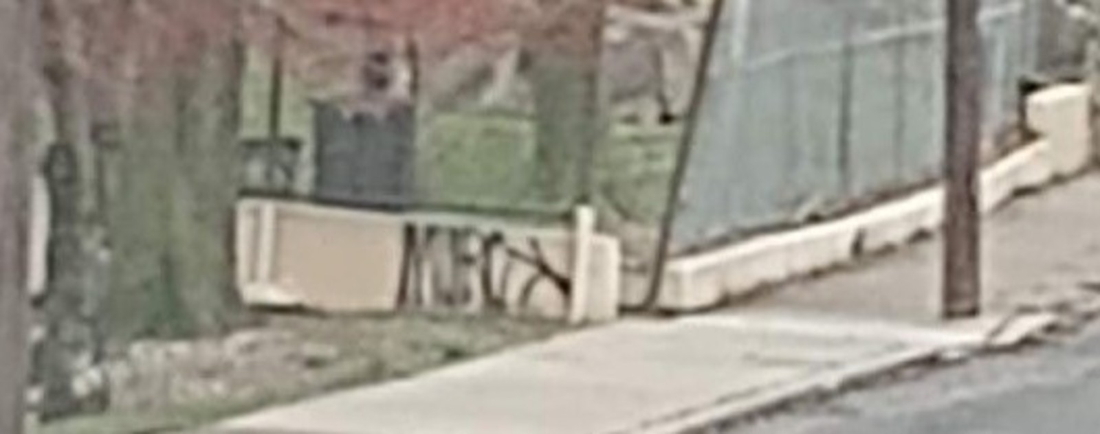 Photographic documentation of the work as submitted to the city's 311 record.