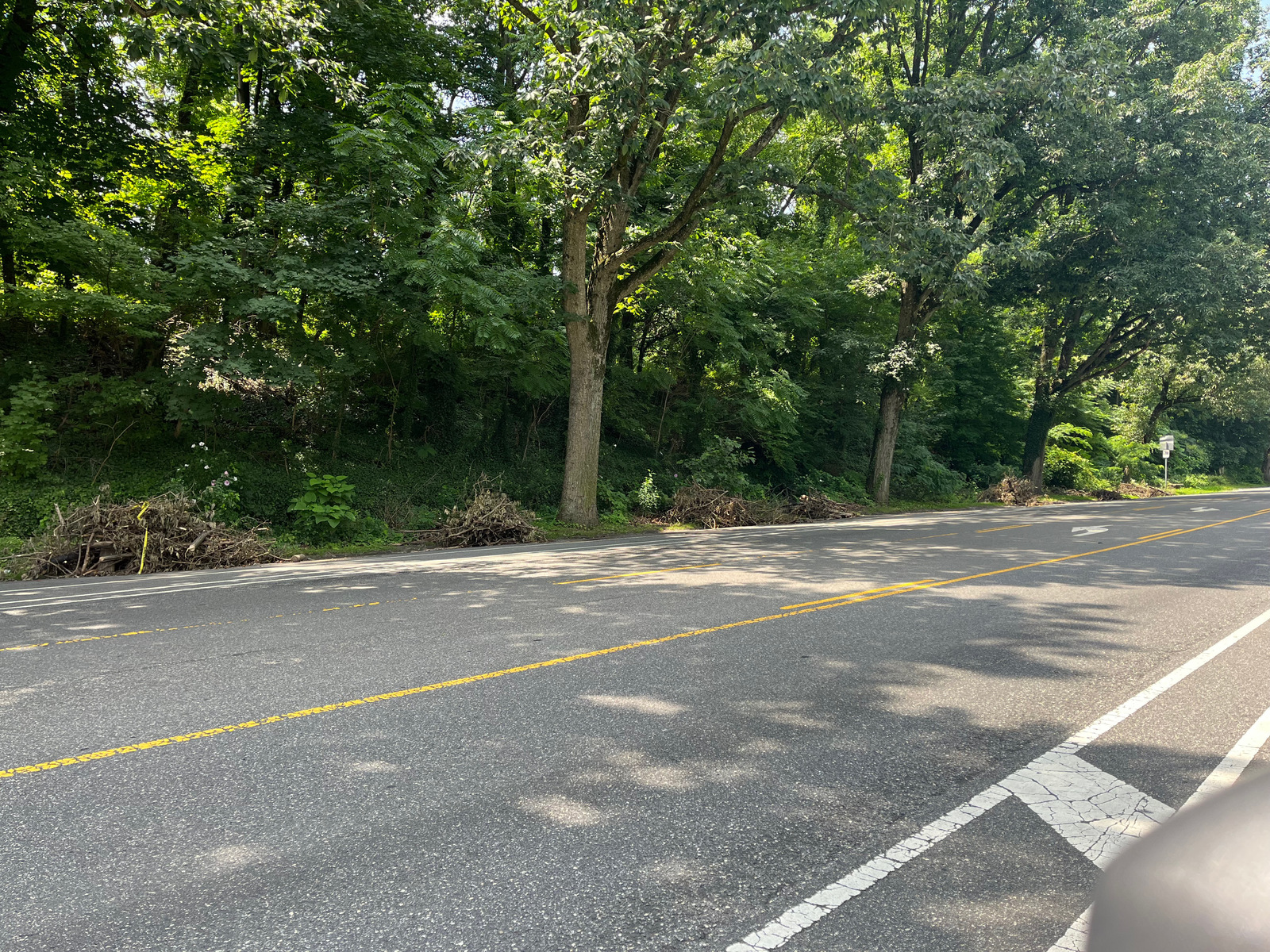Photographic documentation of the work as submitted to the city's 311 record.