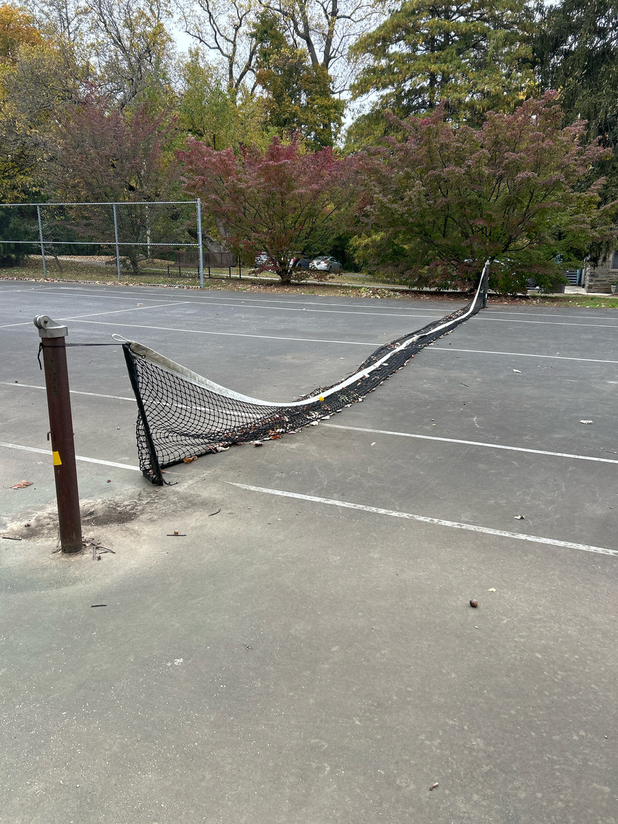 Photographic documentation of the work as submitted to the city's 311 record.