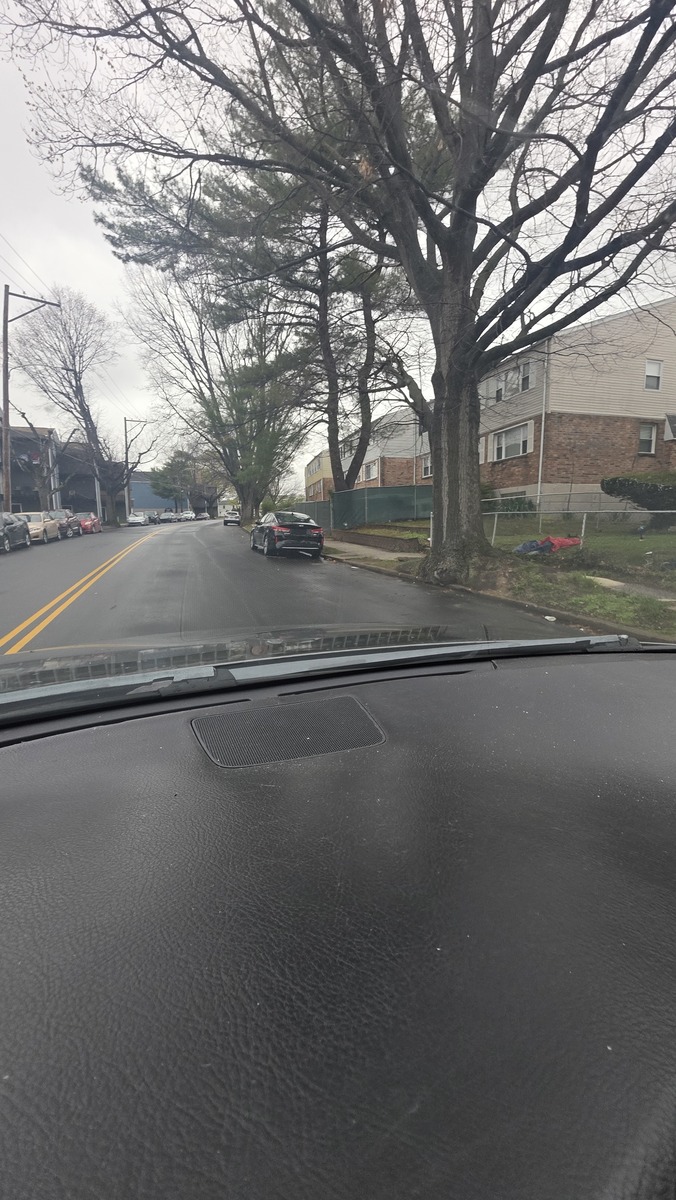 Photographic documentation of the work as submitted to the city's 311 record.