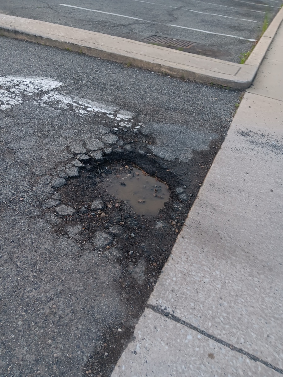 Photographic documentation of the work as submitted to the city's 311 record.