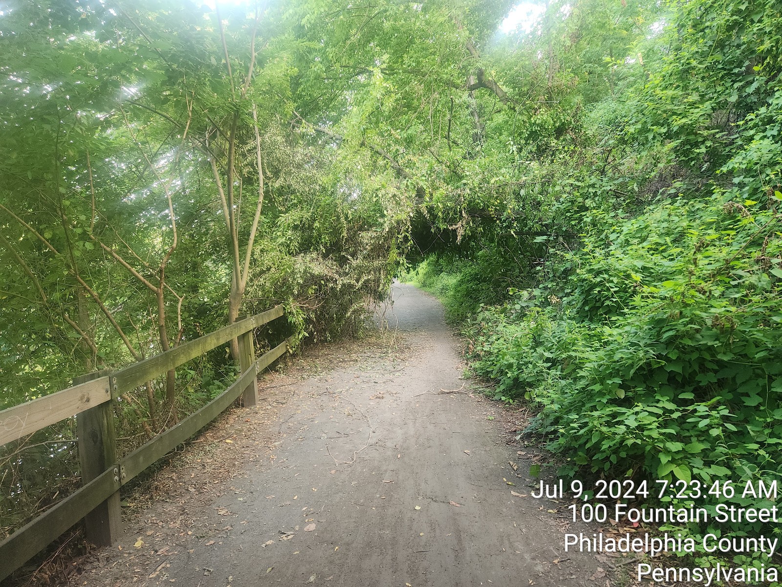 Photographic documentation of the work as submitted to the city's 311 record.