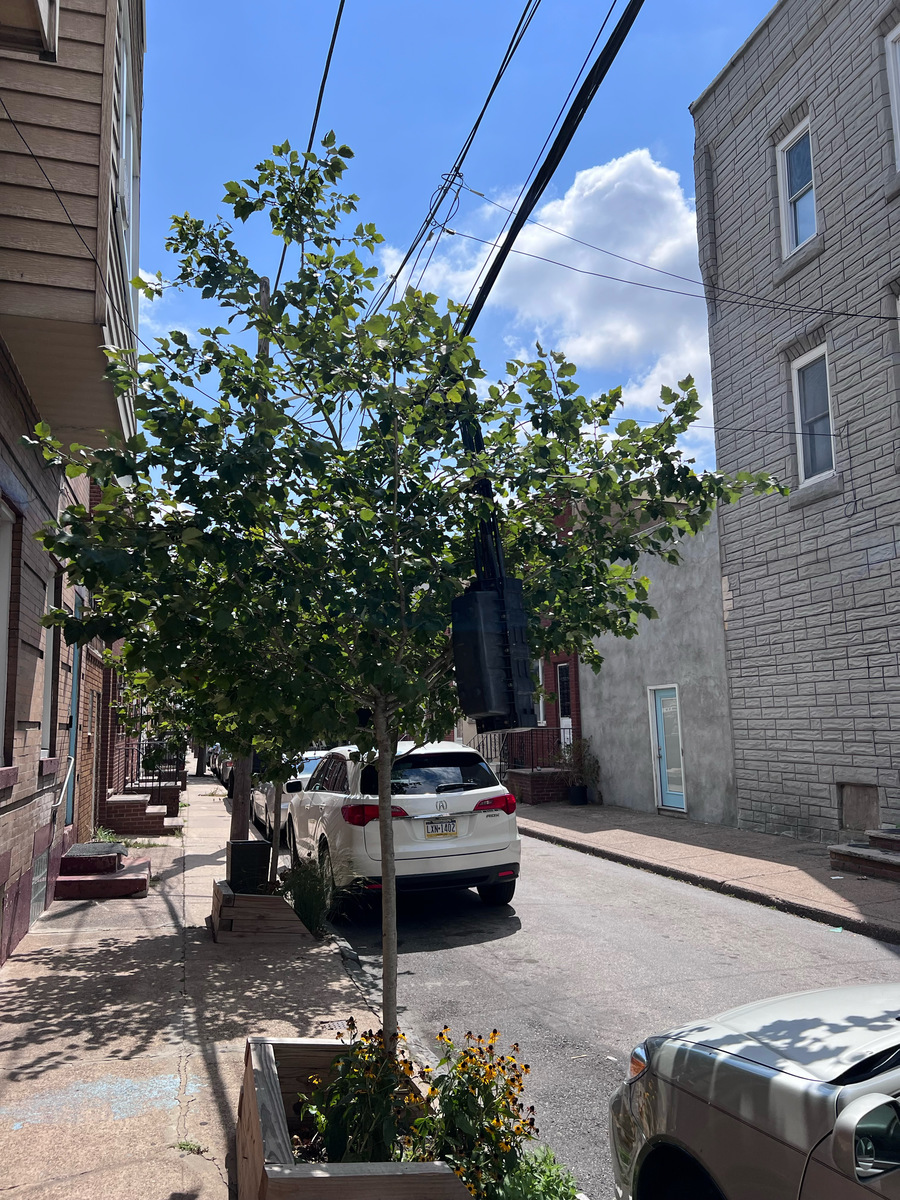Photographic documentation of the work as submitted to the city's 311 record.