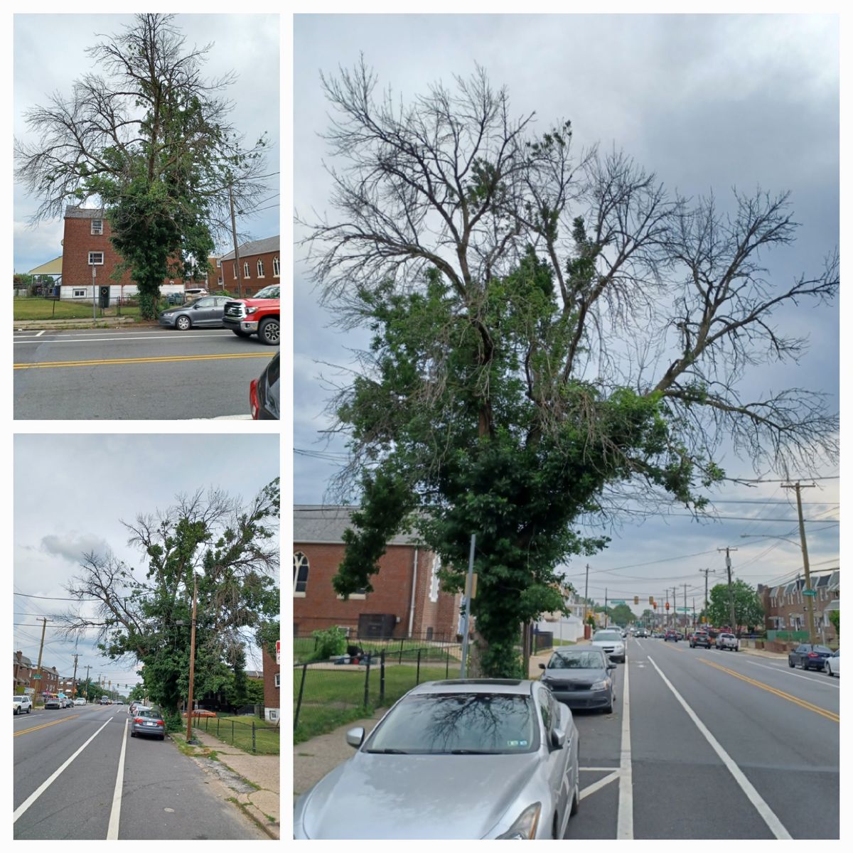 Photographic documentation of the work as submitted to the city's 311 record.