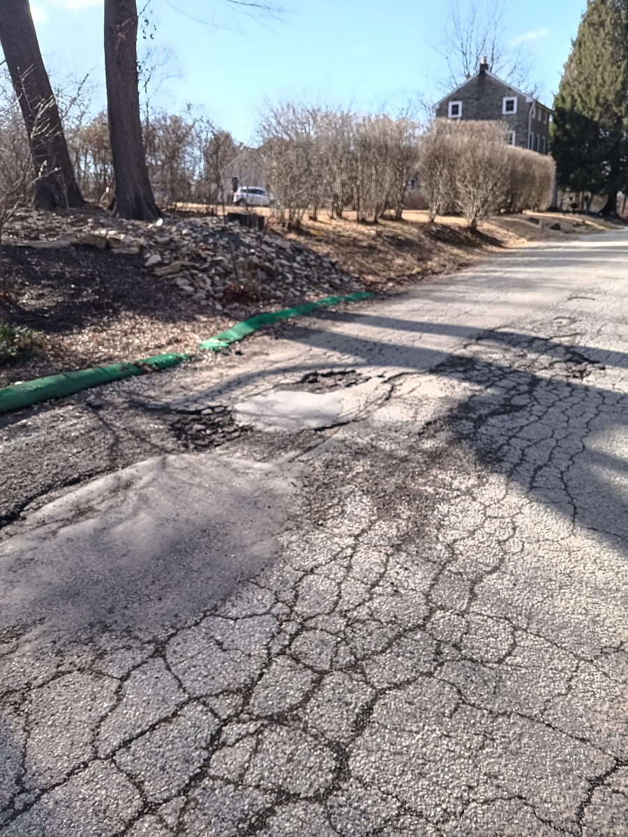 Photographic documentation of the work as submitted to the city's 311 record.