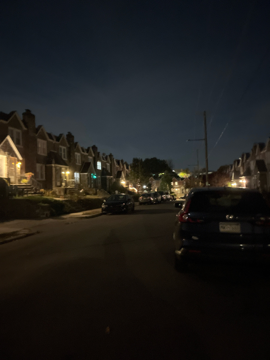 Photographic documentation of the work as submitted to the city's 311 record.