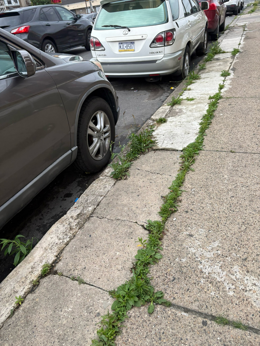Photographic documentation of the work as submitted to the city's 311 record.