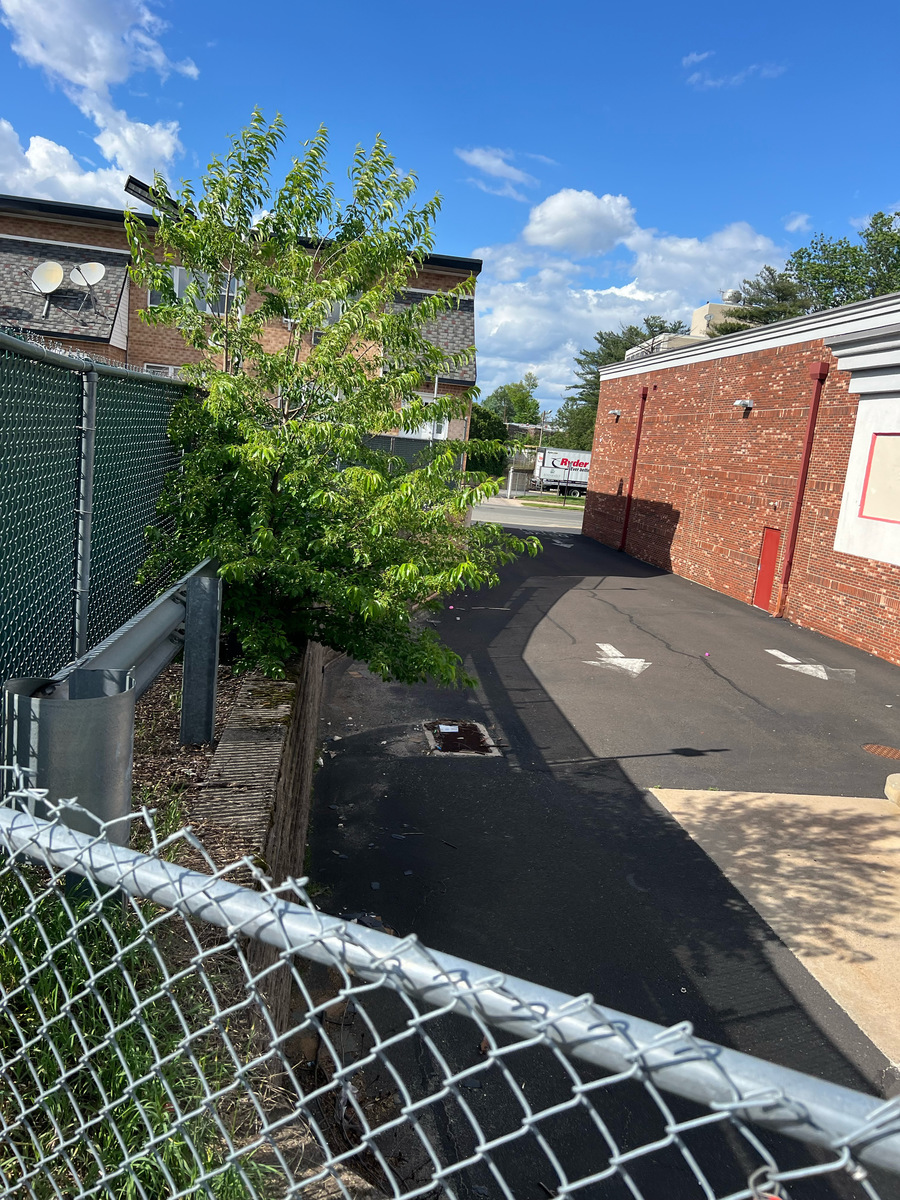 Photographic documentation of the work as submitted to the city's 311 record.