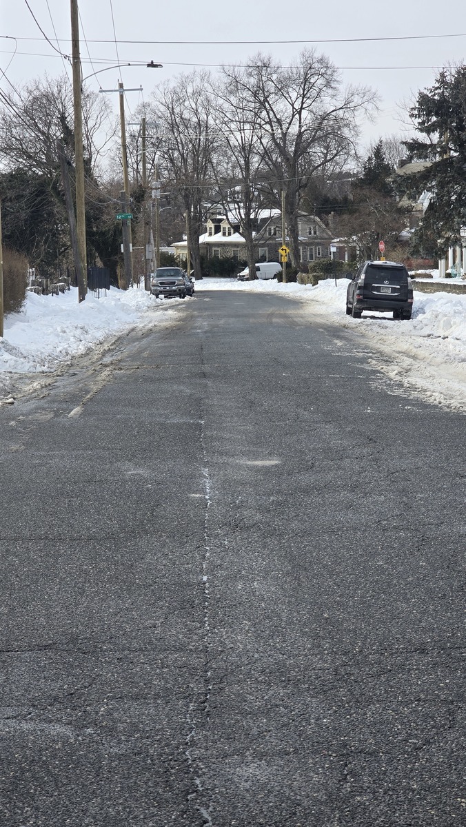 Photographic documentation of the work as submitted to the city's 311 record.