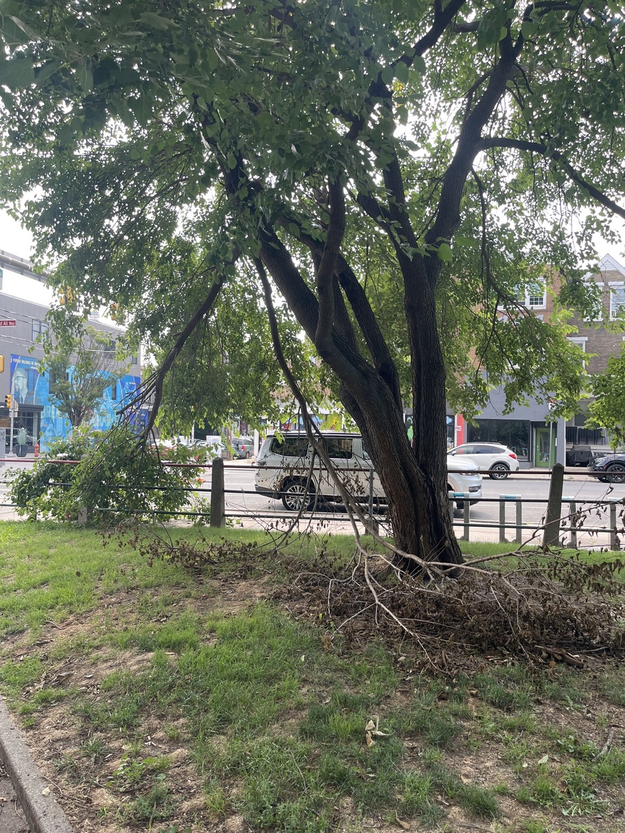 Photographic documentation of the work as submitted to the city's 311 record.