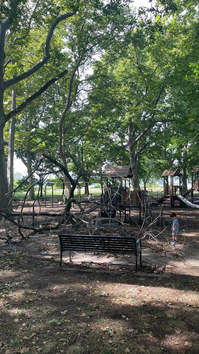 Photographic documentation of the work as submitted to the city's 311 record.