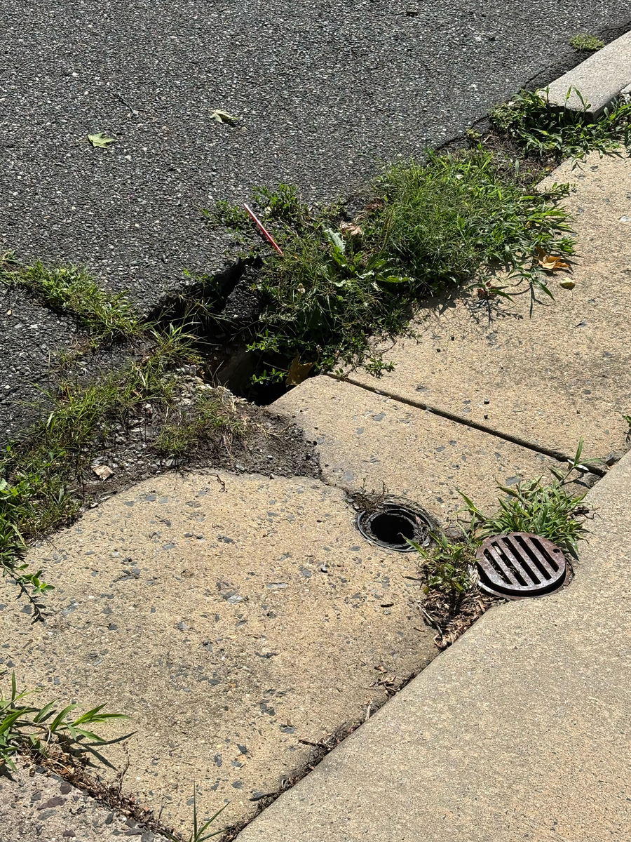 Photographic documentation of the work as submitted to the city's 311 record.