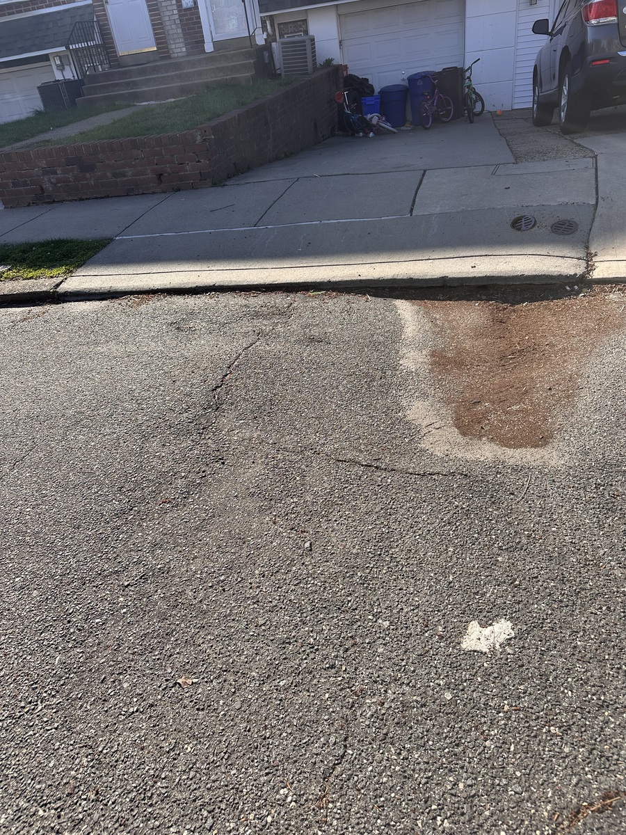 Photographic documentation of the work as submitted to the city's 311 record.