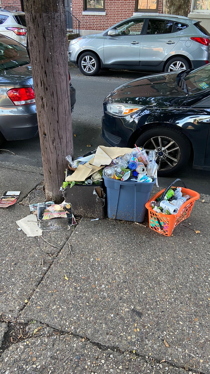 Photographic documentation of the work as submitted to the city's 311 record.
