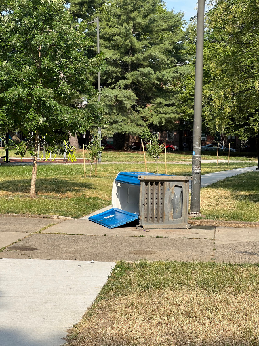 Photographic documentation of the work as submitted to the city's 311 record.