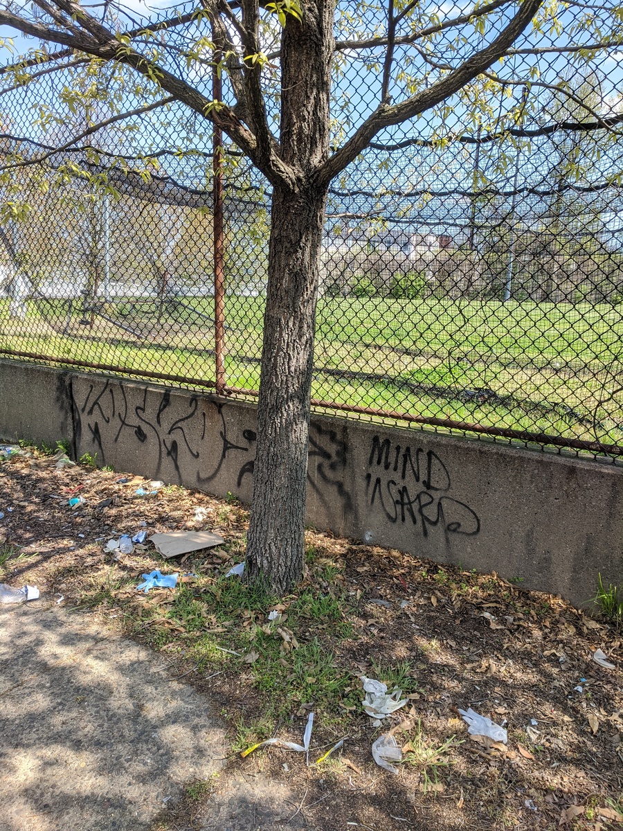 Photographic documentation of the work as submitted to the city's 311 record.