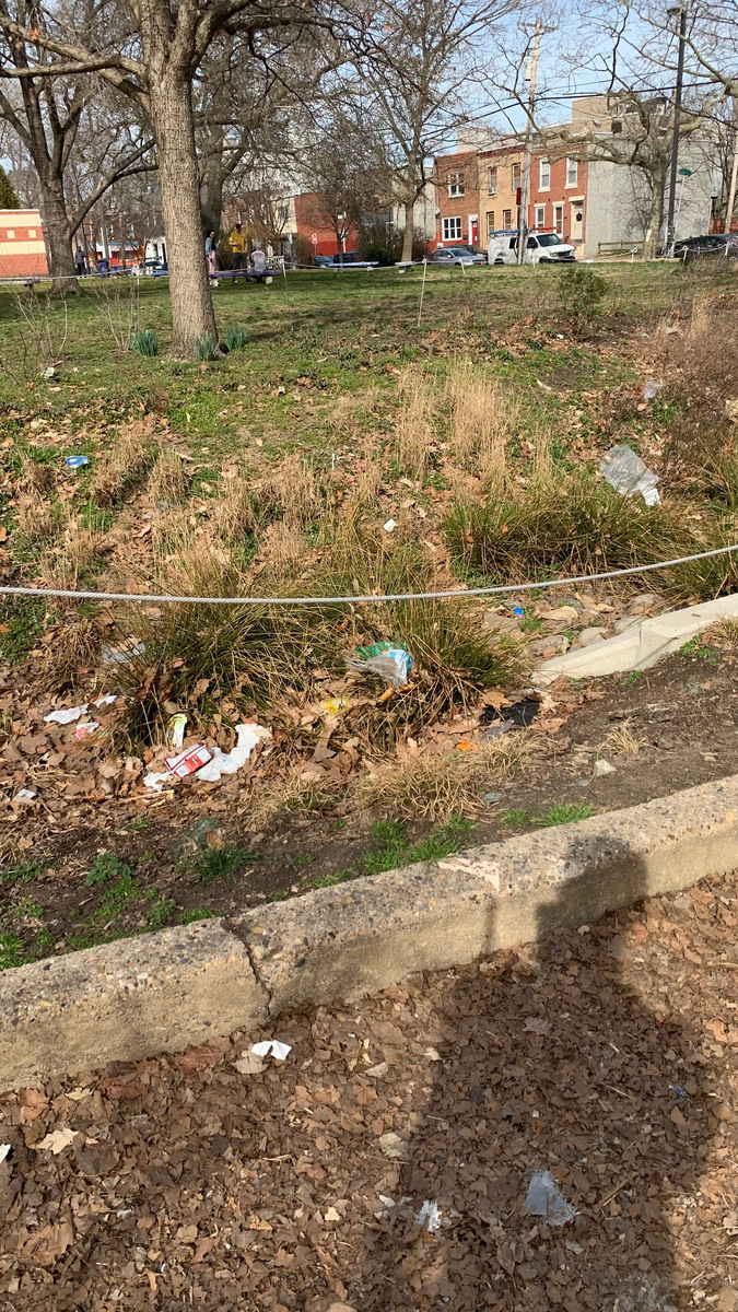 Photographic documentation of the work as submitted to the city's 311 record.