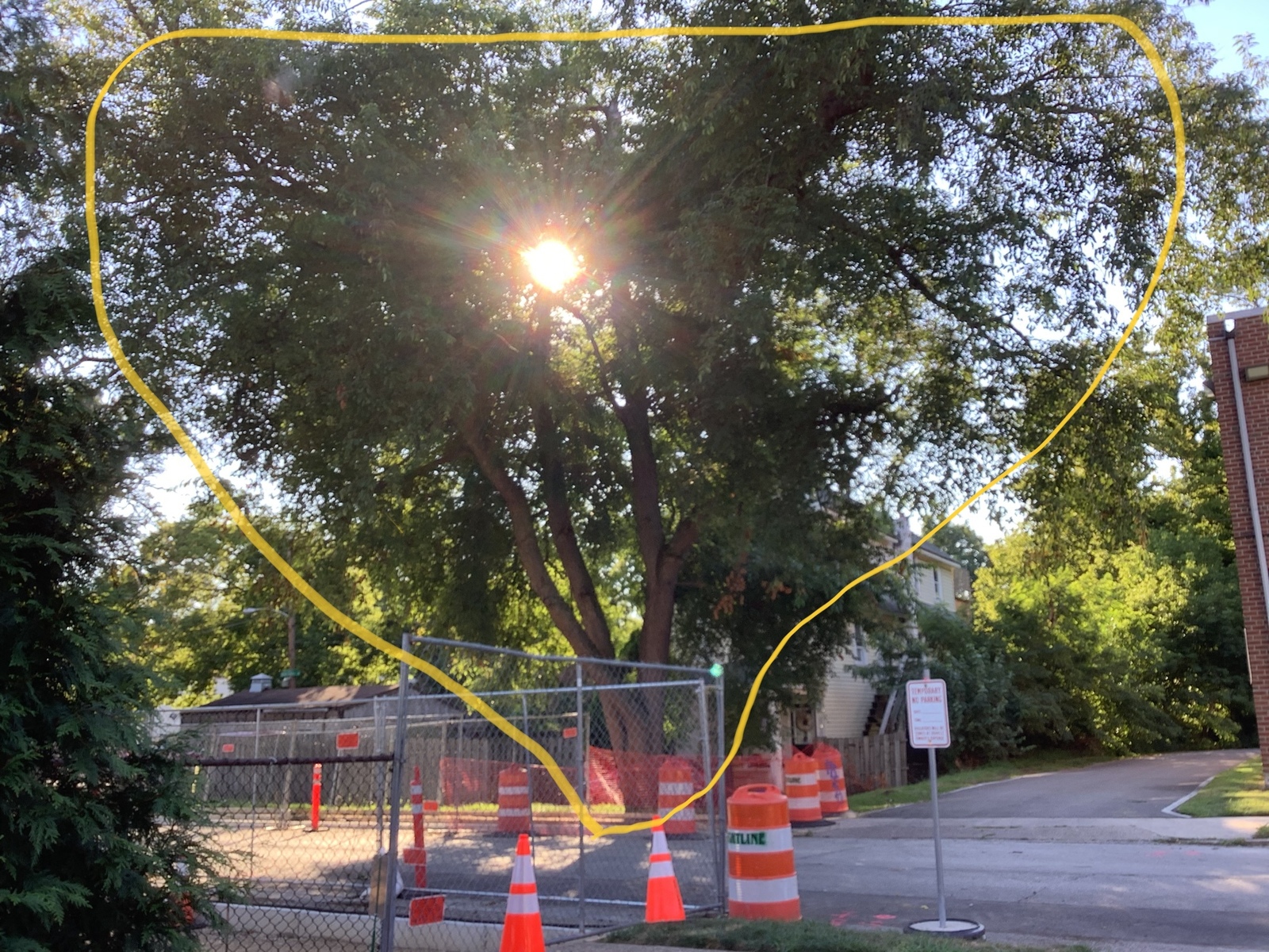 Photographic documentation of the work as submitted to the city's 311 record.