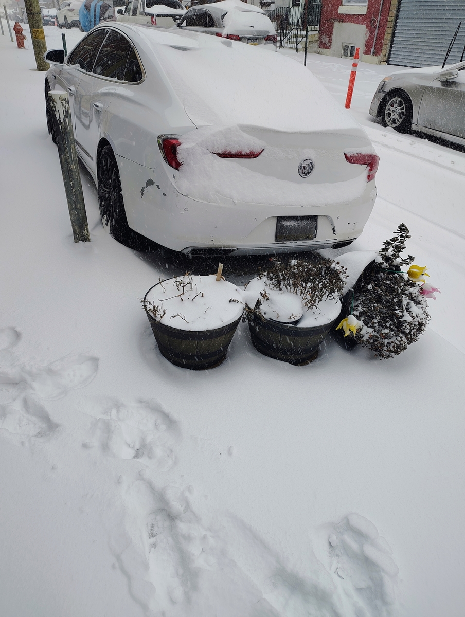 Photographic documentation of the work as submitted to the city's 311 record.