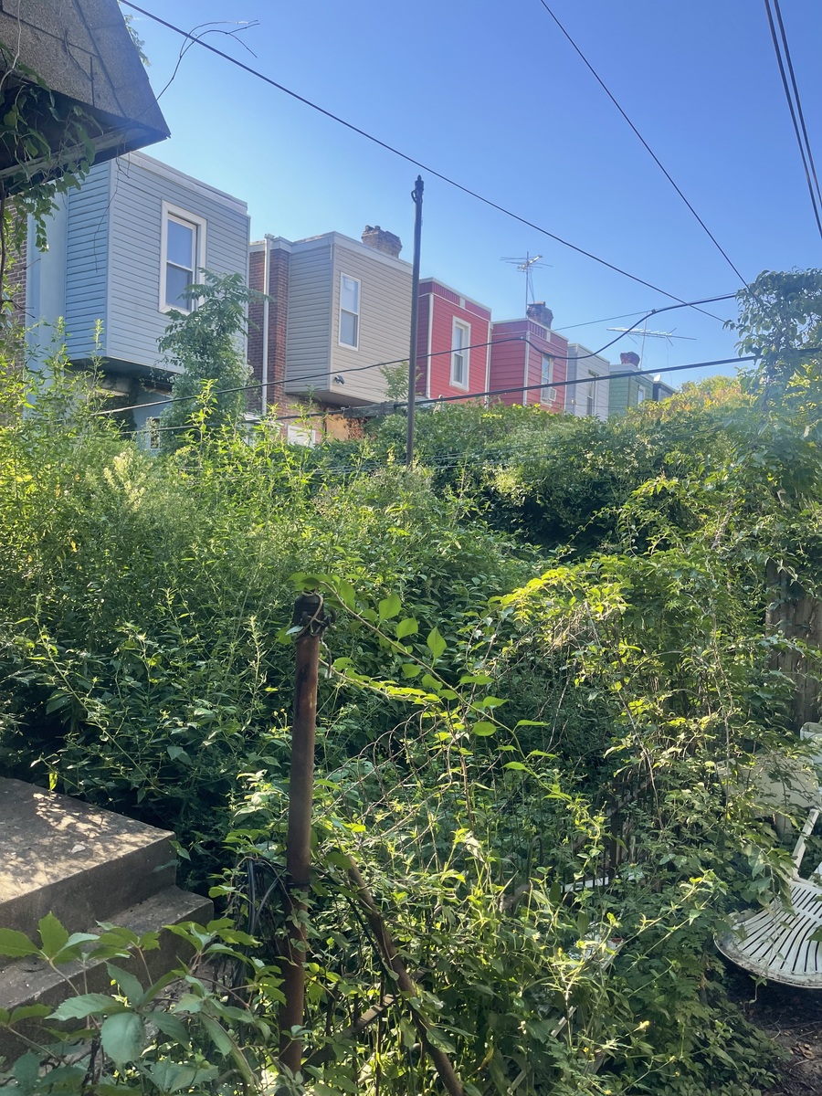 Photographic documentation of the work as submitted to the city's 311 record.
