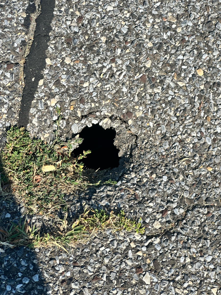 Photographic documentation of the work as submitted to the city's 311 record.