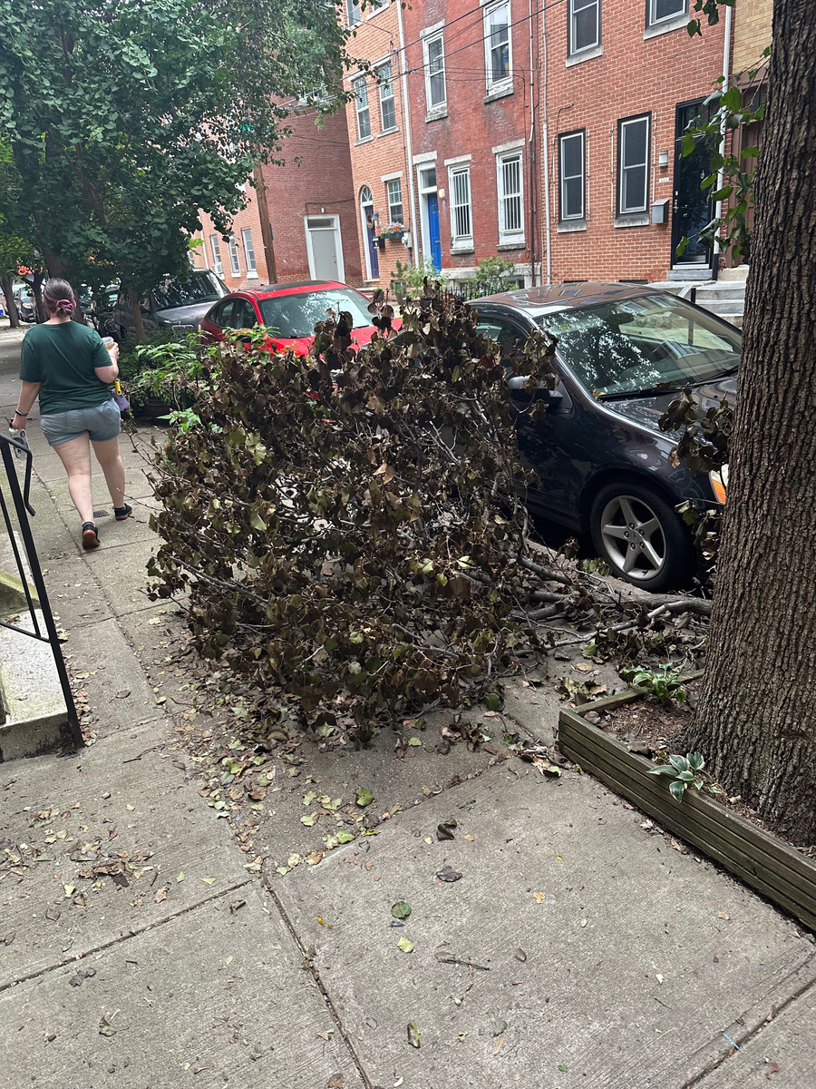 Photographic documentation of the work as submitted to the city's 311 record.
